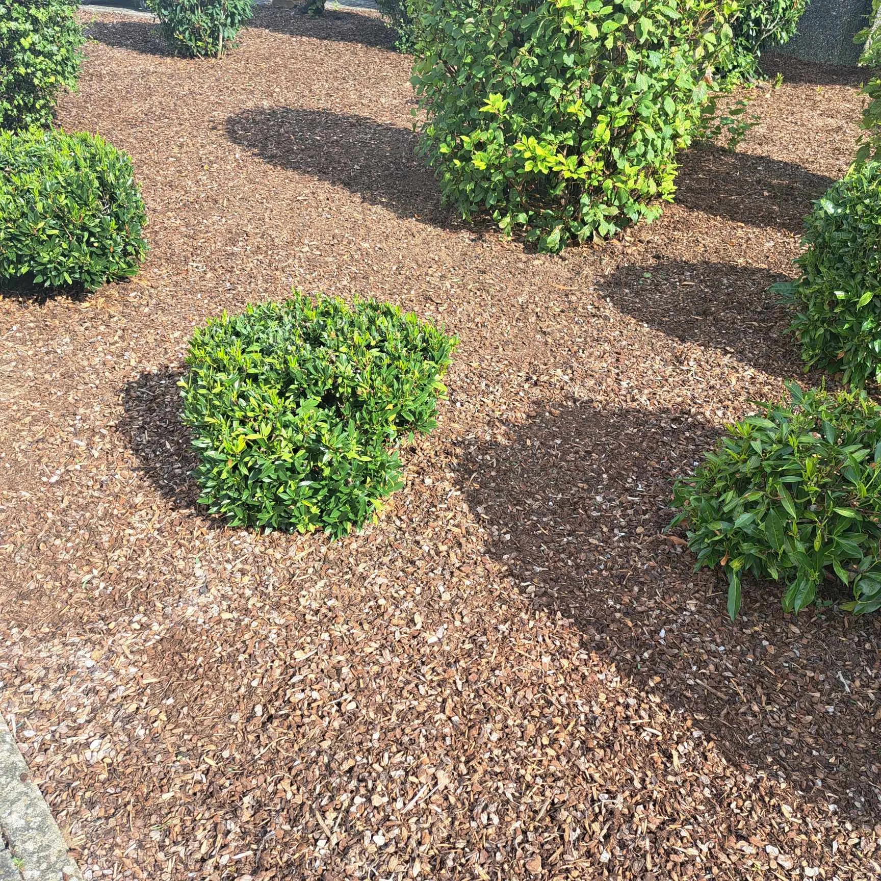 Gestalteter Garten mit Mulch und Sträuchern