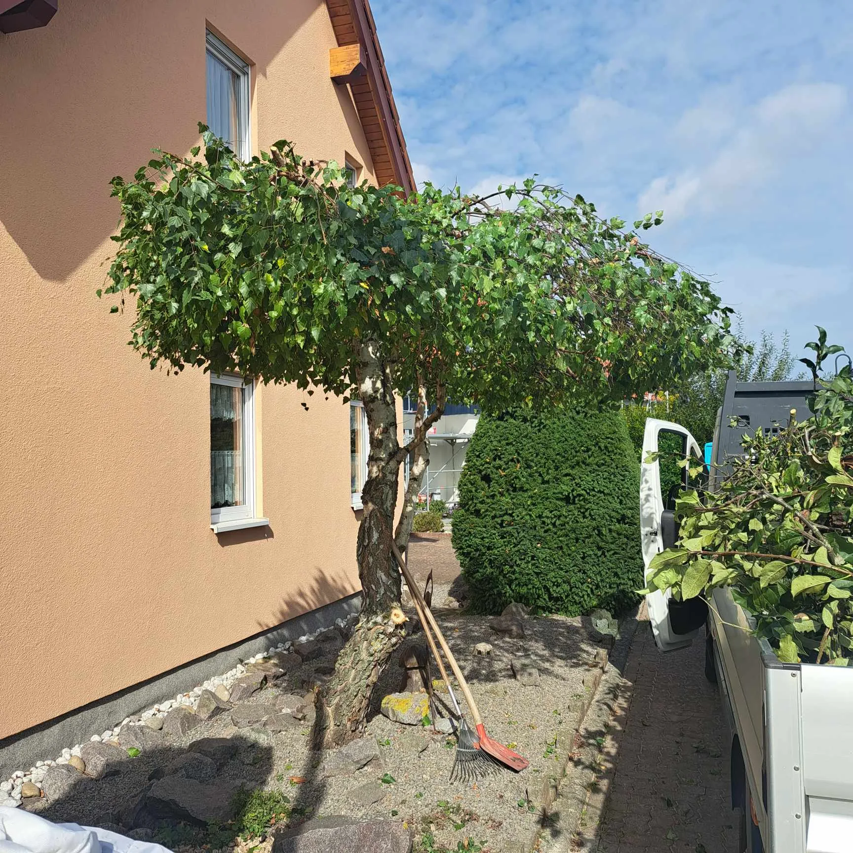 Efeu-Begrünung an Hausfassade