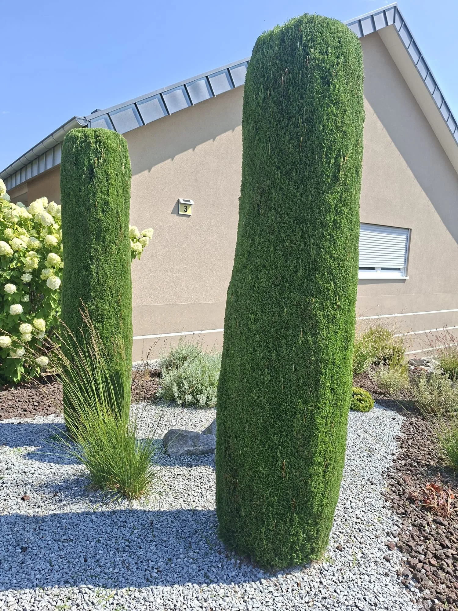 Moderne Gartenanlage mit Säulenzypressen und Bepflanzung