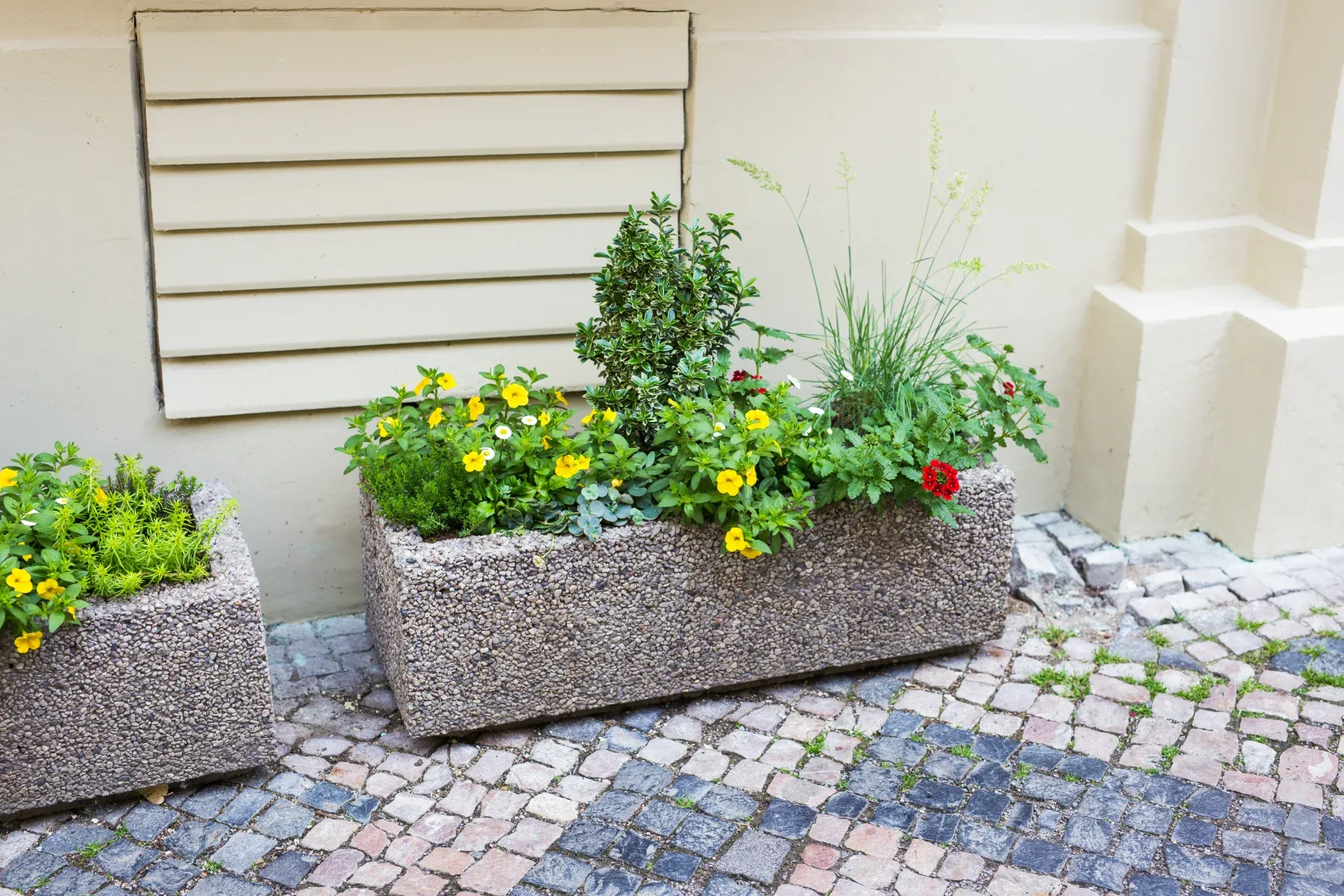 Pflanzkasten mit bunten Blumen und Kräutern in einem Gartenbereich